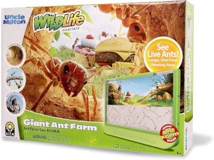 Ant farm