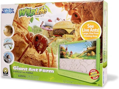 Giant ant farm