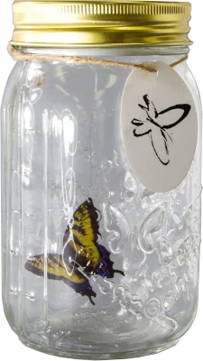 Butterfly in a jar