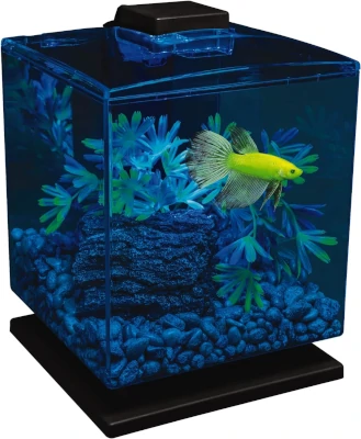 Aquarium for fish