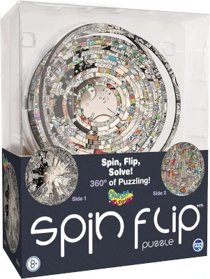 Spin flip puzzle