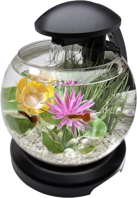 Waterfall aquarium