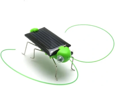 Beetle on solar panel