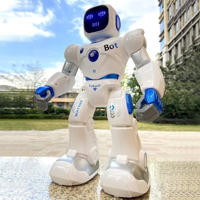 Interactive robot