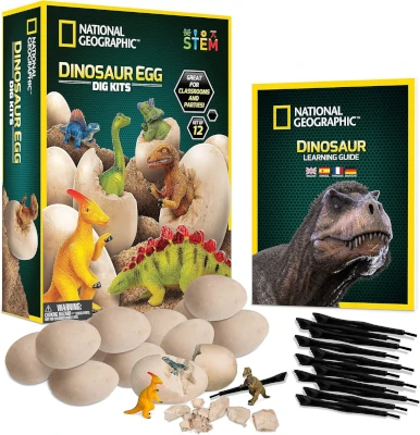 Dinosaur Eggs Dig Kit